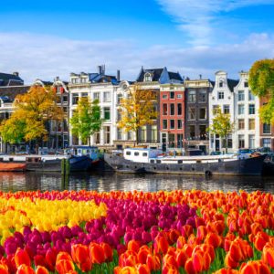 romania – netherlands passenger transport